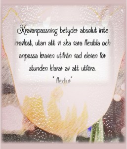 Blogg-skor4
