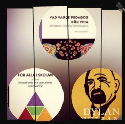 Bild blogginlägg sant eller falskt